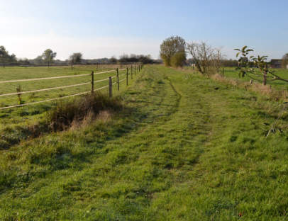 photo de l'exterieur de l'écurie pres des prairie