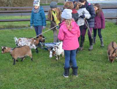 photo d'enfants tennant en longue des chèvres