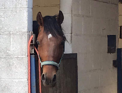 photo de clair de lune dans son box